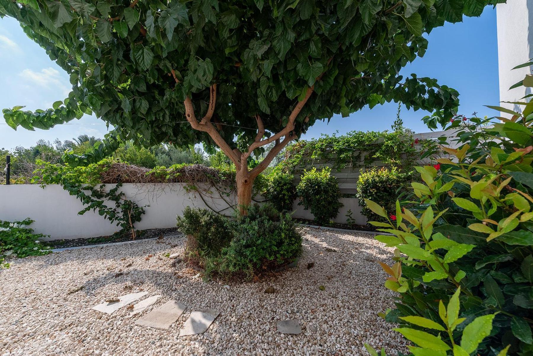Blue Diamond Beach Villas Paphos Kültér fotó